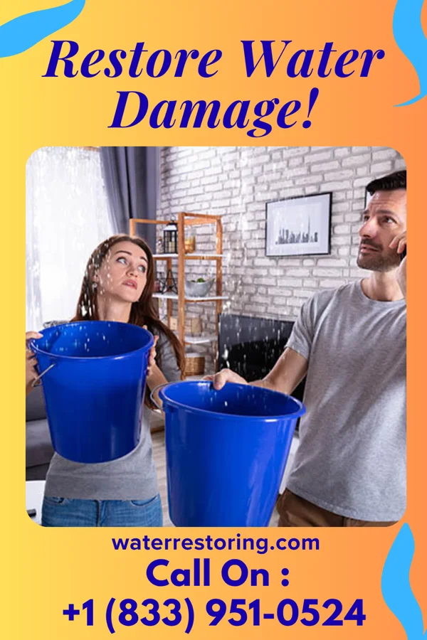 water restoration Crown Flood Damage Co South Chicago Heights