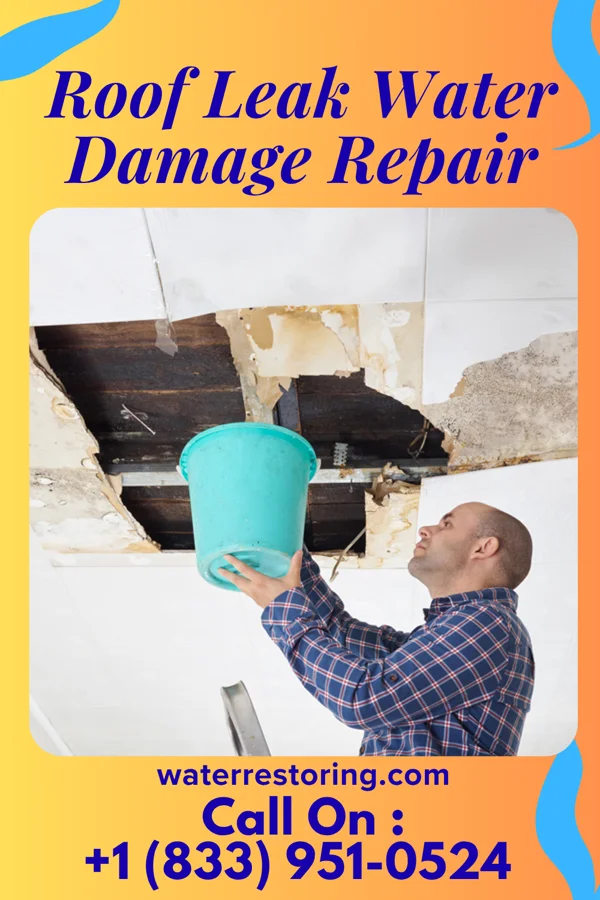 Roof Leak Water Damage Repair in South Chicago Heights, IL
