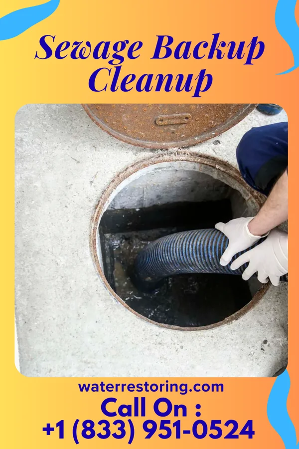 Sewage Backup Cleanup in South Chicago Heights, IL