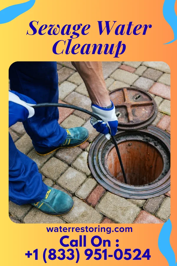 Sewage Water Cleanup in South Chicago Heights, IL