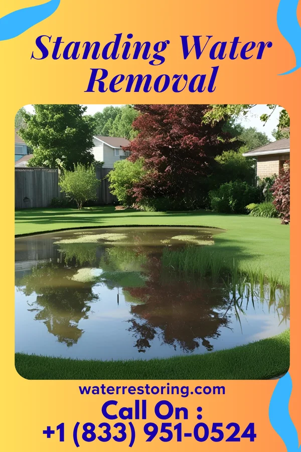 Standing Water Removal in South Chicago Heights, IL